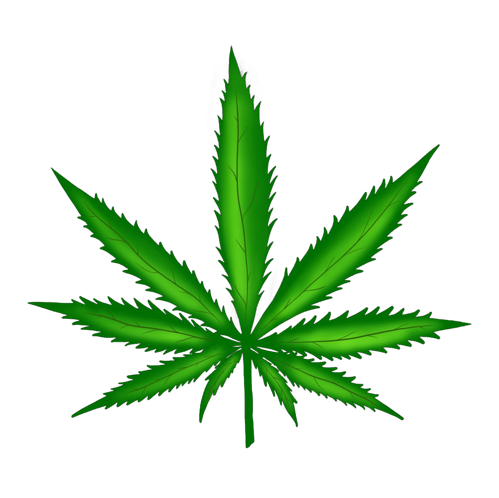 Cannabis Leaf drawn from scratch in Photoshop.